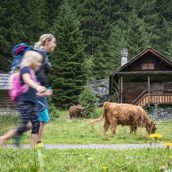 Wanderweg zur Schwussnerhütte