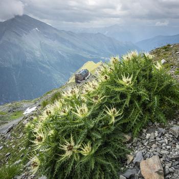 Blick auf das Hannoverhaus