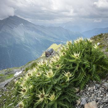 Das Hannoverhaus auf 2566 Meter Höhe oberhalb von Mallnitz