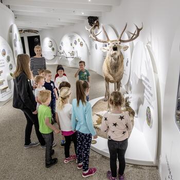 BIOS Nationalparkzentrum