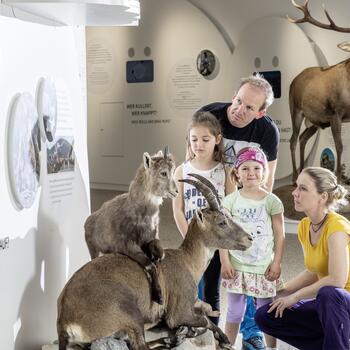 BIOS Nationalparkzentrum Mallnitz