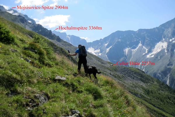 Ein selten begangener Klassiker die Mojsisovicsspitze