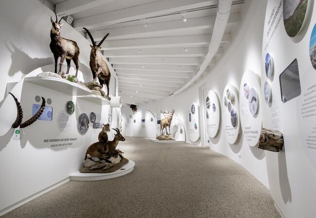 Nationalpark Besucherzentrum Mallnitz